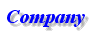The Company